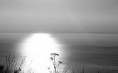 /album/wissant-sans-web-sans-net-juste-la-vie-a-wissant/mer-de-wissant-red-jpg/